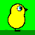 Duck LIfe