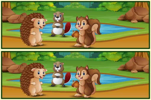 Spot The Differences Forests