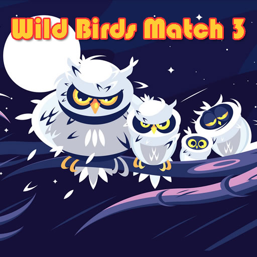  Thumb Wild Birds Match 3