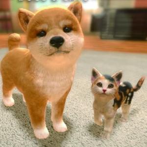  Thumb Adopt a Cat or Dog To Your Family