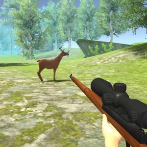 Big Game Hunting - Shooting Challenge With The Animals