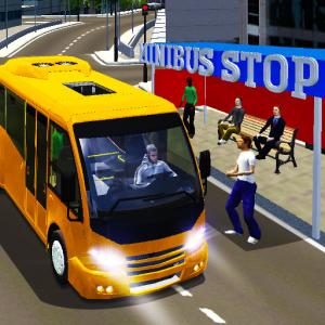 city-minibus-driver.jpg
