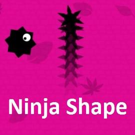 ninja-shape.jpg