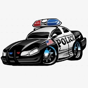 police-cars-memory.jpg