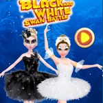 Black And White Swan Battle