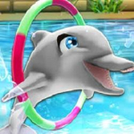 my-dolphin-show.jpg